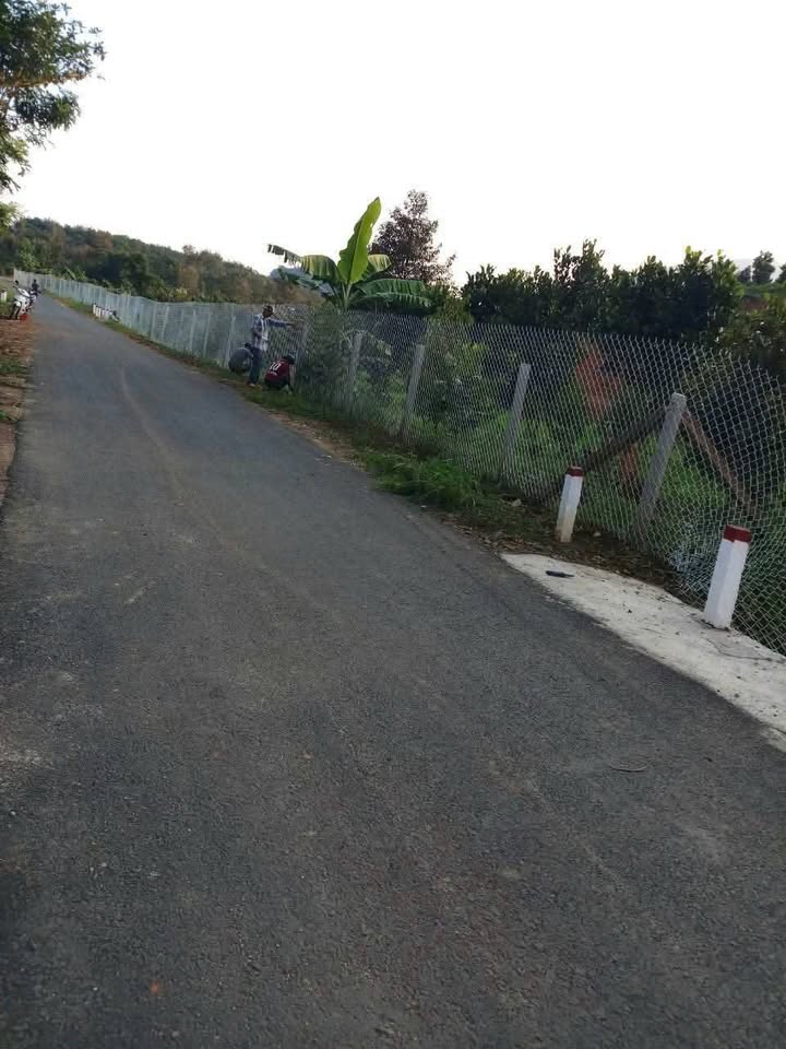 Đất vườn Đạ Huoai 2736m² - Nghỉ dưỡng lý tưởng, sinh lời bền vững!