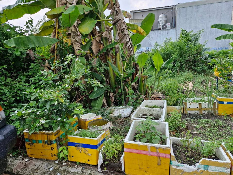 Đất Nền Lã Xuân Oai, Thủ Đức - 103m², Lô Góc, Nở Hậu, Sổ Đỏ