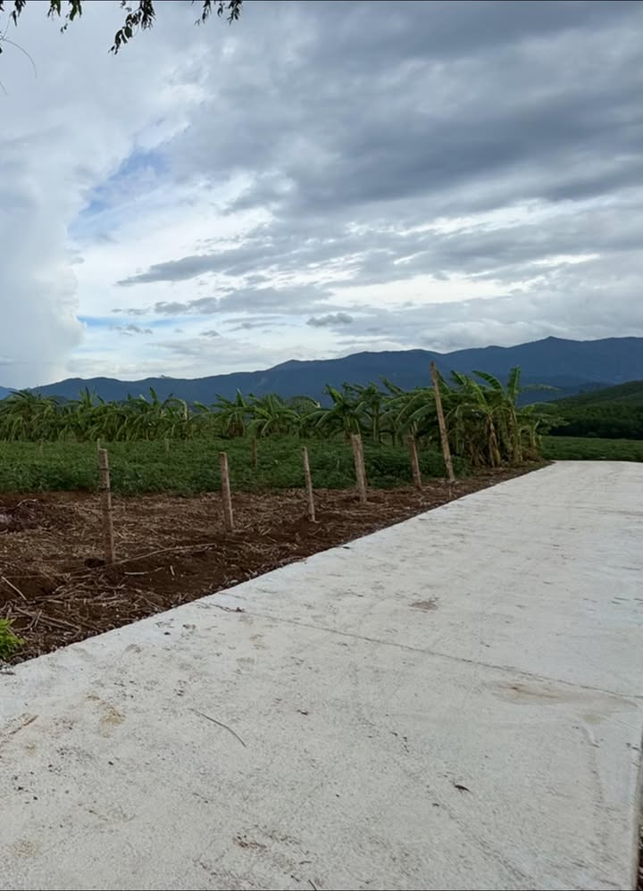 Đất vườn Sơn Thành Tây 400m² giá vài trăm triệu - Nghỉ dưỡng lý tưởng!