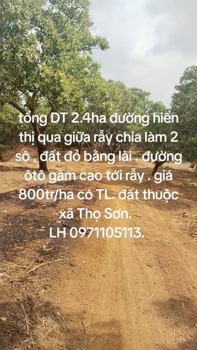 Đất vườn Thọ Sơn Bù Đăng 2.4ha - Sổ đỏ chính chủ, 1.92 tỷ!