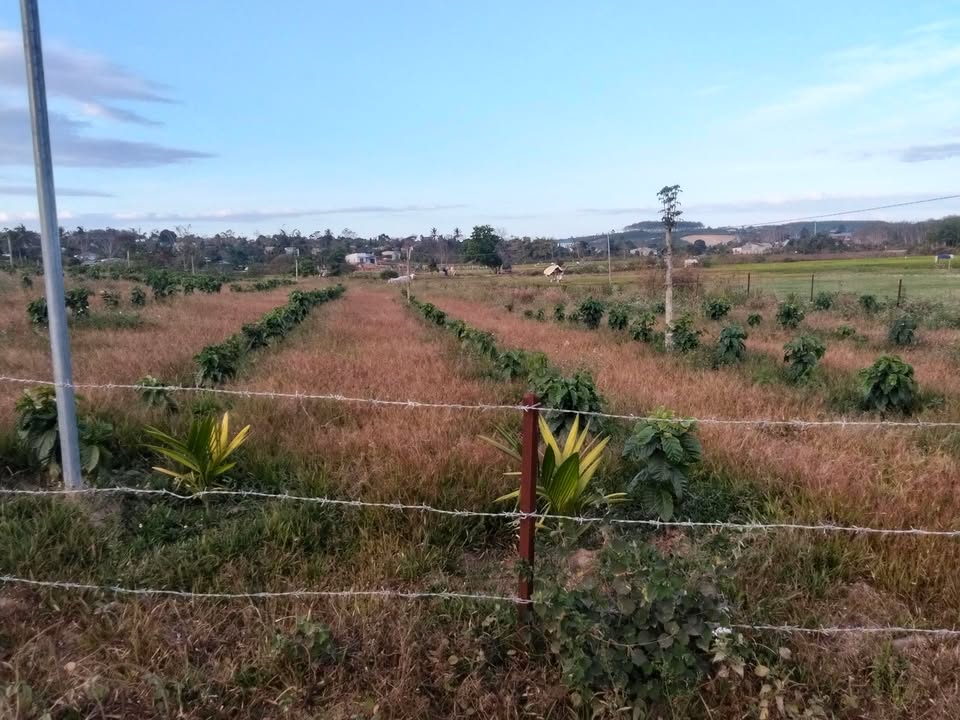 Đất nền Nâm Nung 2ha giá 450 triệu - Tiềm năng tăng giá!