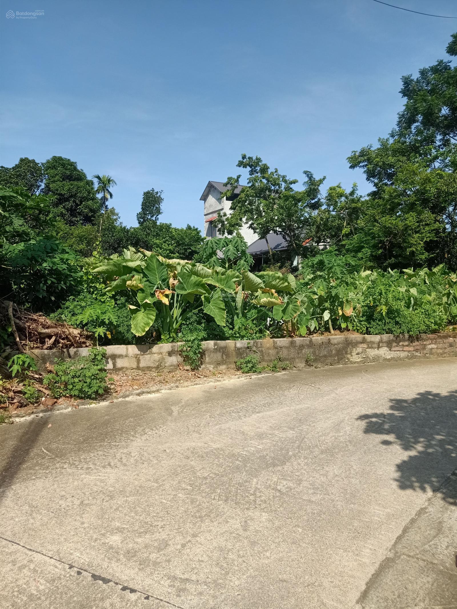 Đất nền Phú Cát Quốc Oai 480m² - Sổ đỏ chính chủ, tiềm năng tăng giá!