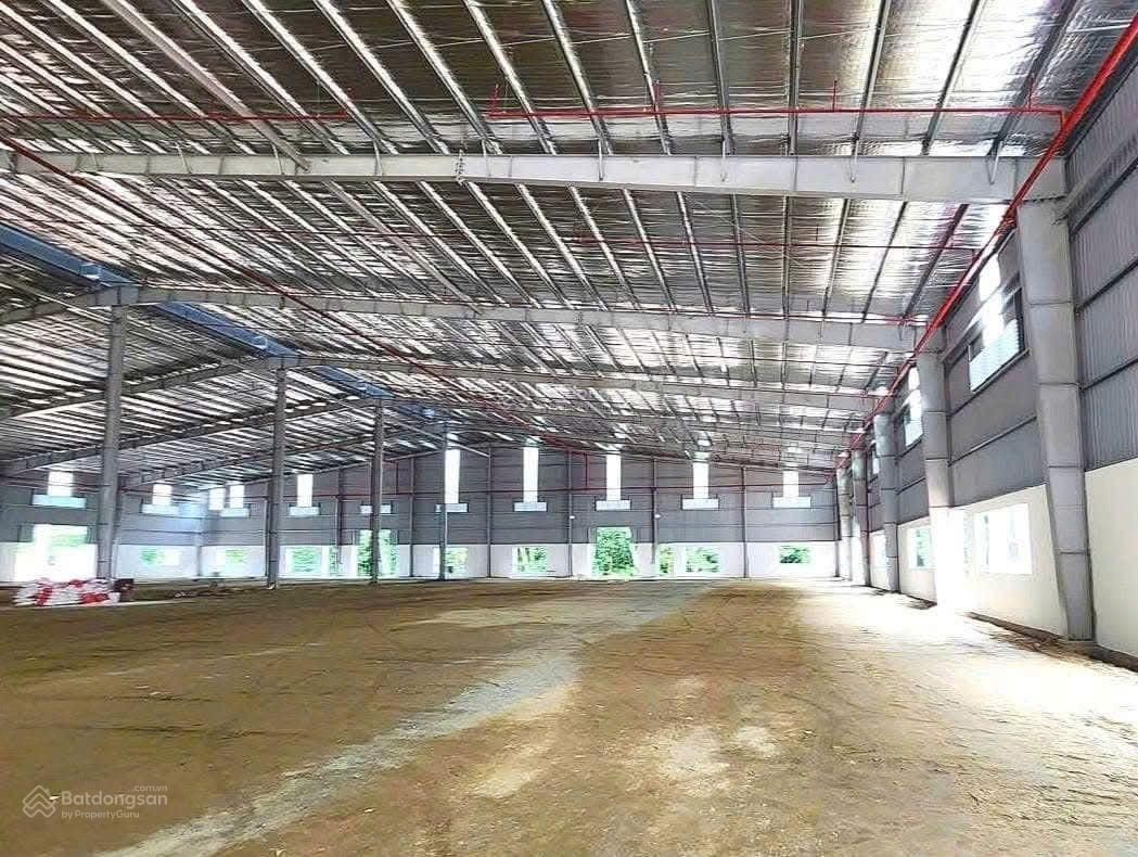 Cho thuê xưởng 11.700m² Bàu Bàng, Bình Dương - Sẵn sàng hoạt động, giá tốt