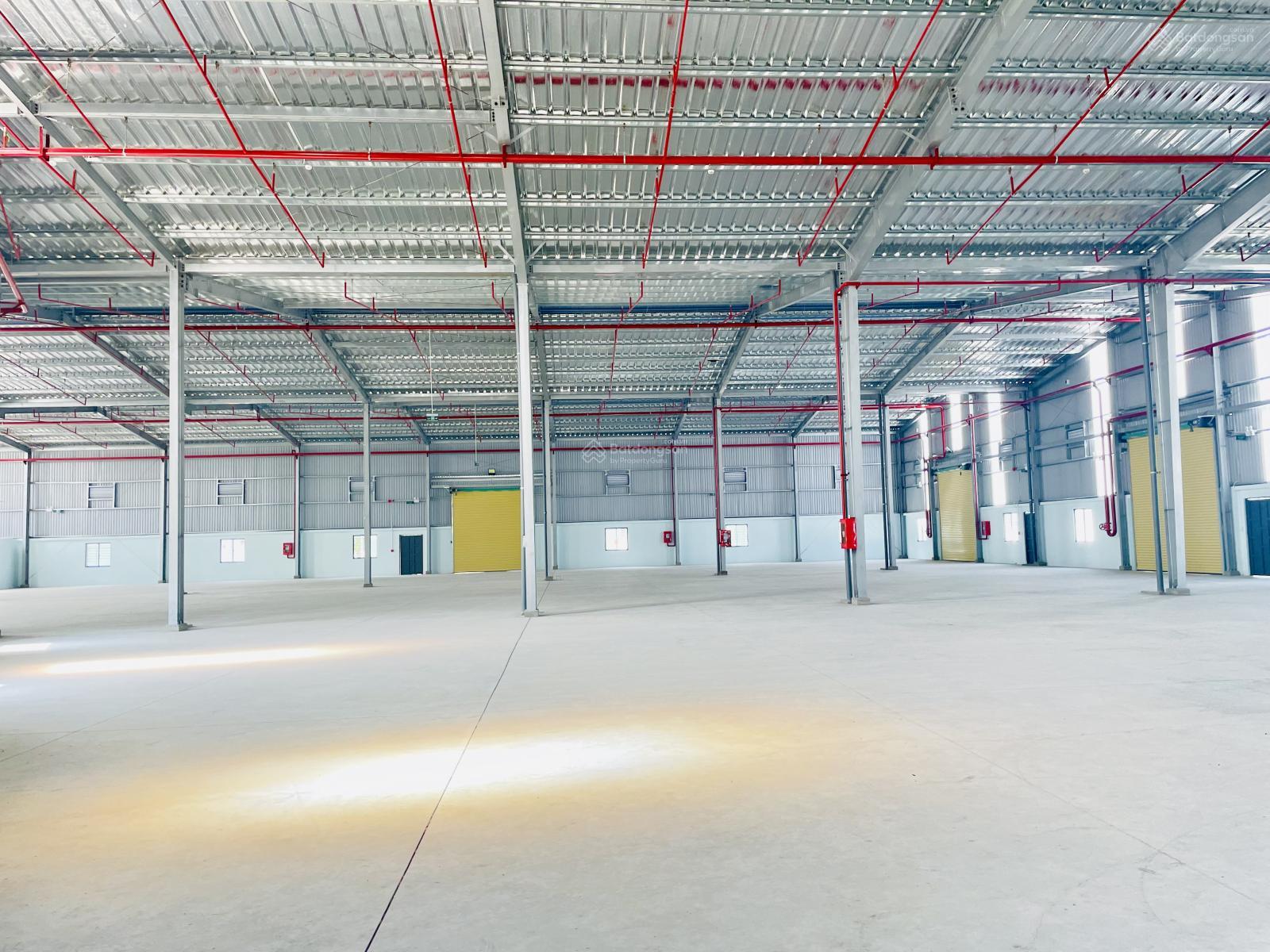 Kho xưởng 2900m² Nhựt Chánh, Bến Lức - Hoạt động ngay!