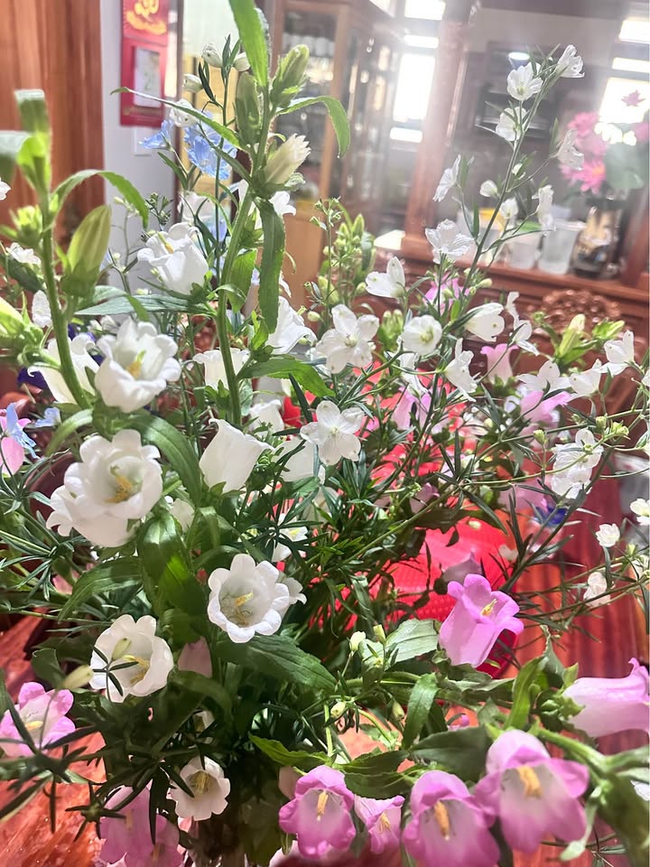 Nhà riêng Vạn Hạnh P8 130m² 7.5 triệu - Sẵn sàng ở ngay