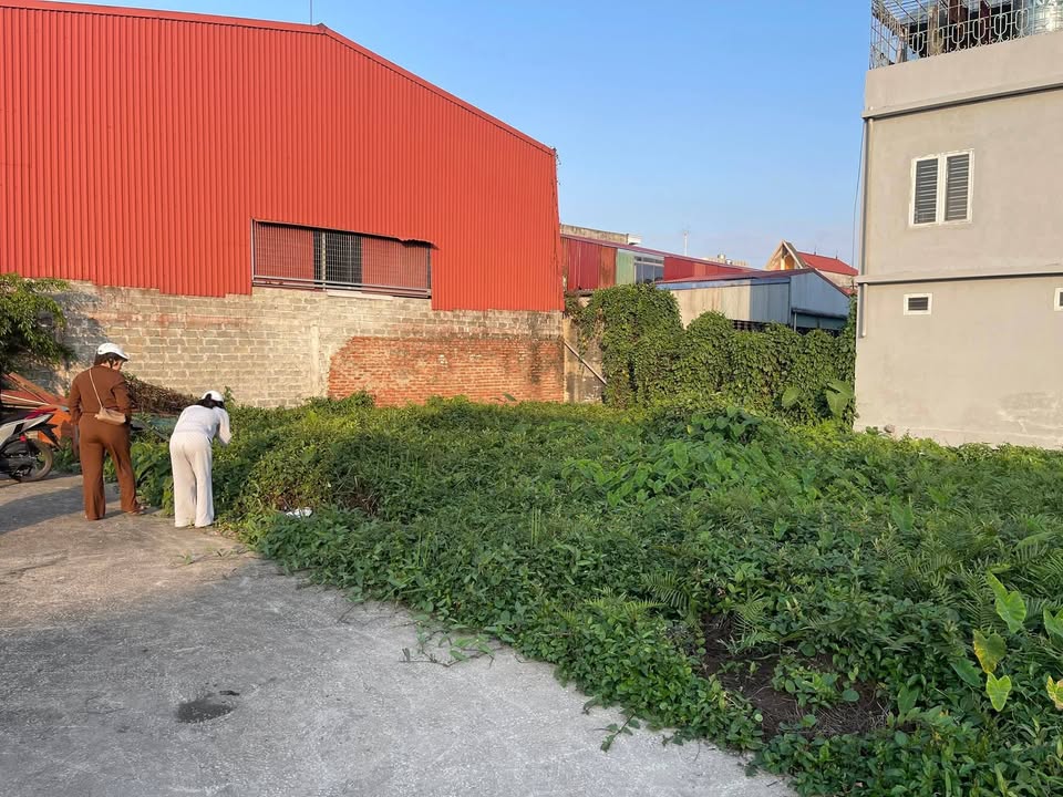 Bán Đất Kiến An 51m² - Giá 1.39 Tỷ - Vị Trí Đẹp, Sẵn Sàng Đầu Tư