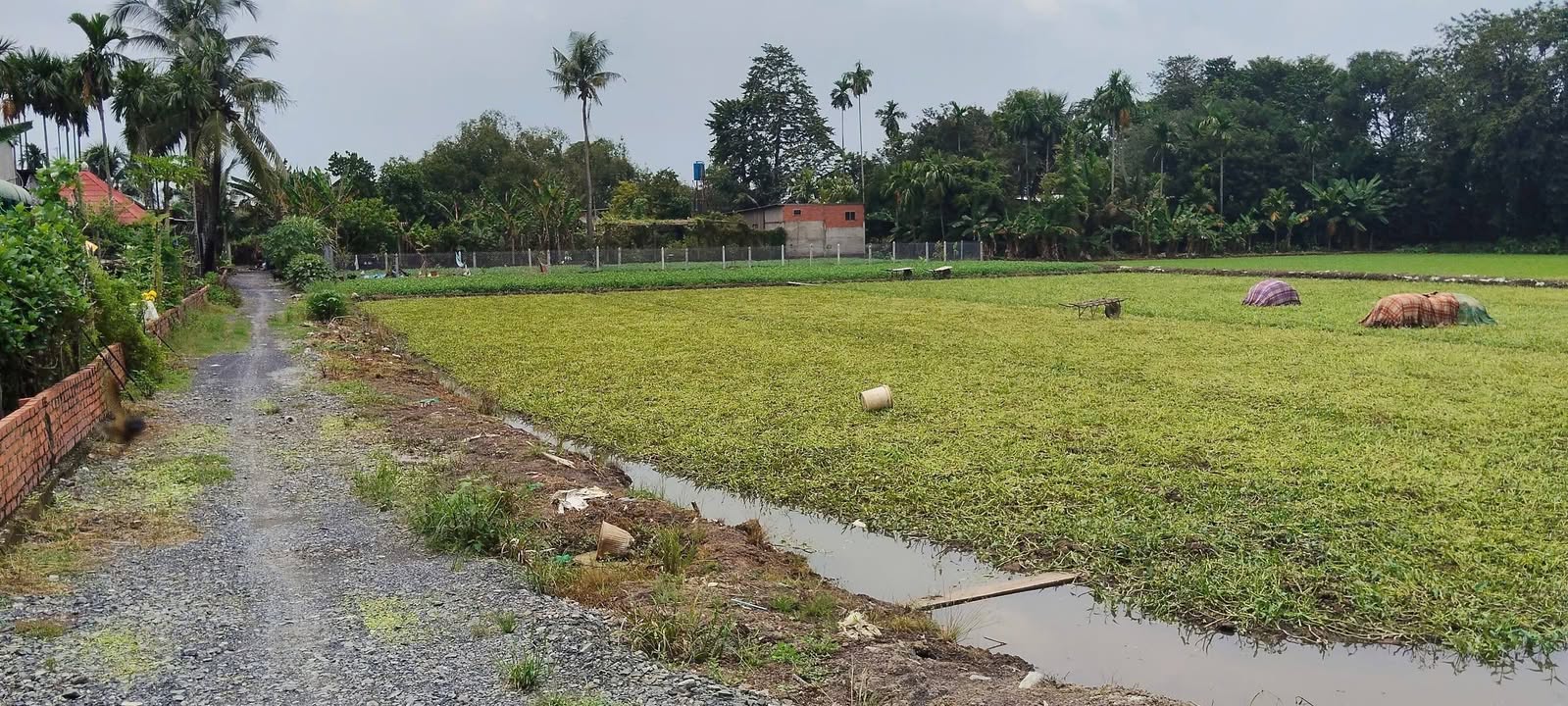 Đất Bình Mỹ Củ Chi 400m² giá 2.2 tỷ - Sổ hồng riêng chính chủ