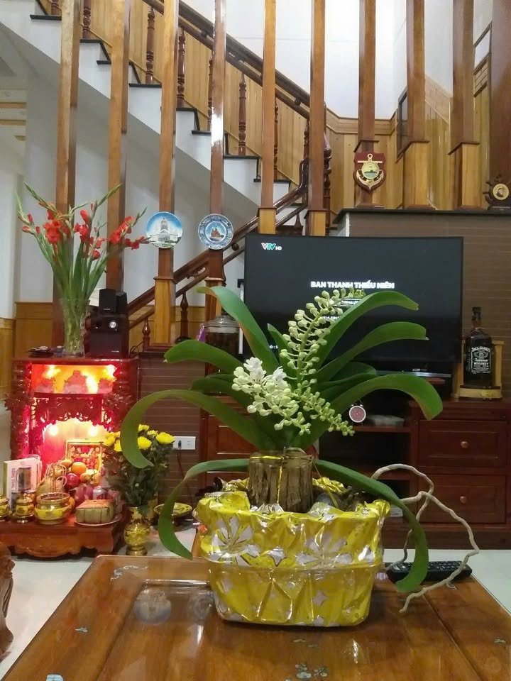 Bán nhà mặt tiền Cù Chính Lan Cam Ranh 174m² giá 6.3 tỷ - Sẵn sàng ở ngay!