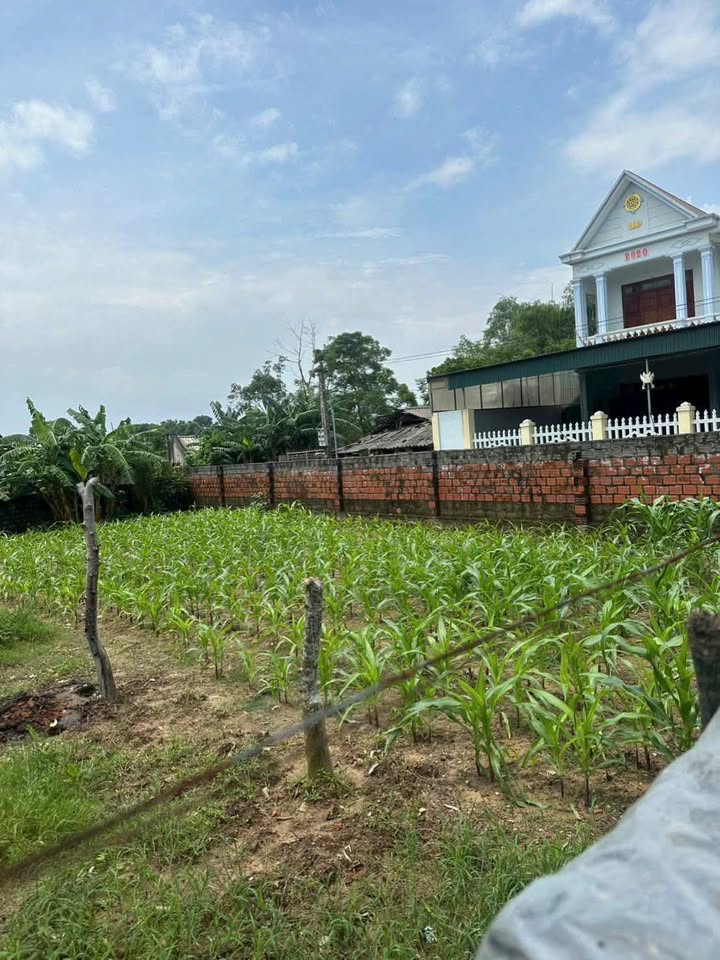 Bán đất Yên Ninh Yên Định 308m² hai mặt tiền - Tiềm năng tăng giá!