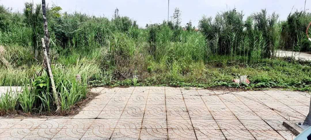 Cho thuê đất nền 63m² khu Tân Phú, Cái Răng - Sẵn sàng kinh doanh