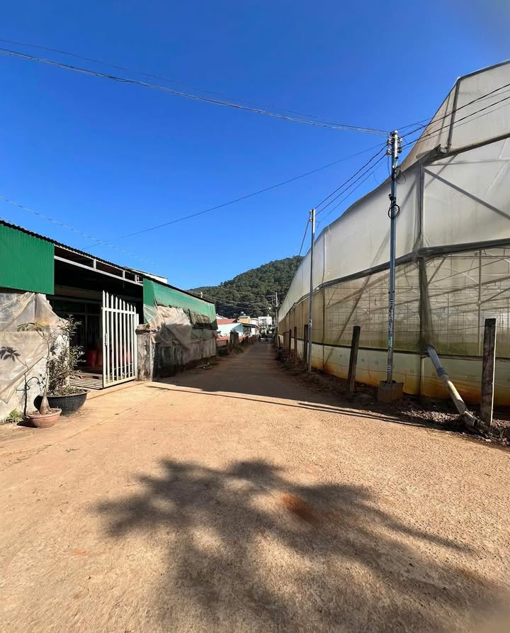 Đất Nền Đạ Ròn, Đơn Dương 175m² Sổ Đỏ - Lợi Thế Vị Trí Vàng