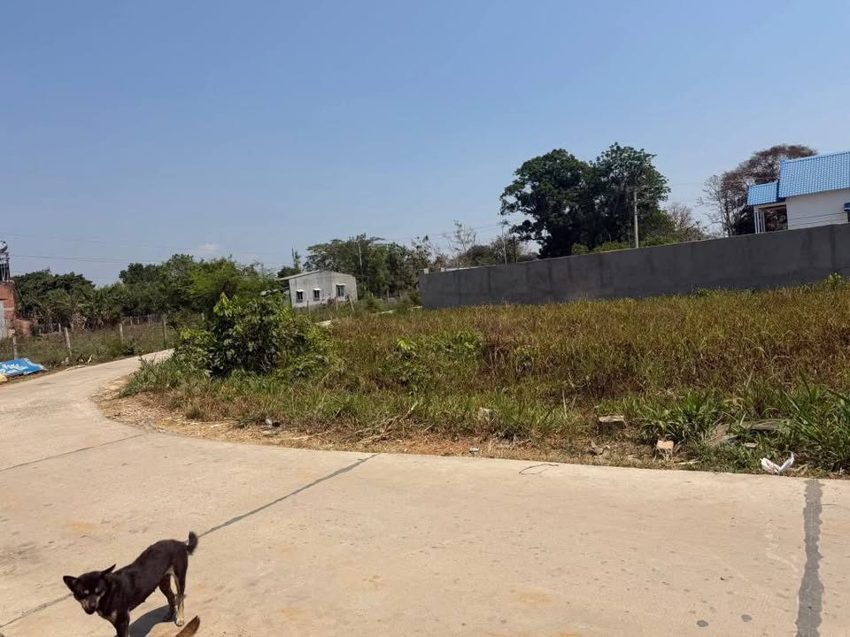 Đất nền Kon Tum 105m² giá 300 triệu - Đường to ô tô!