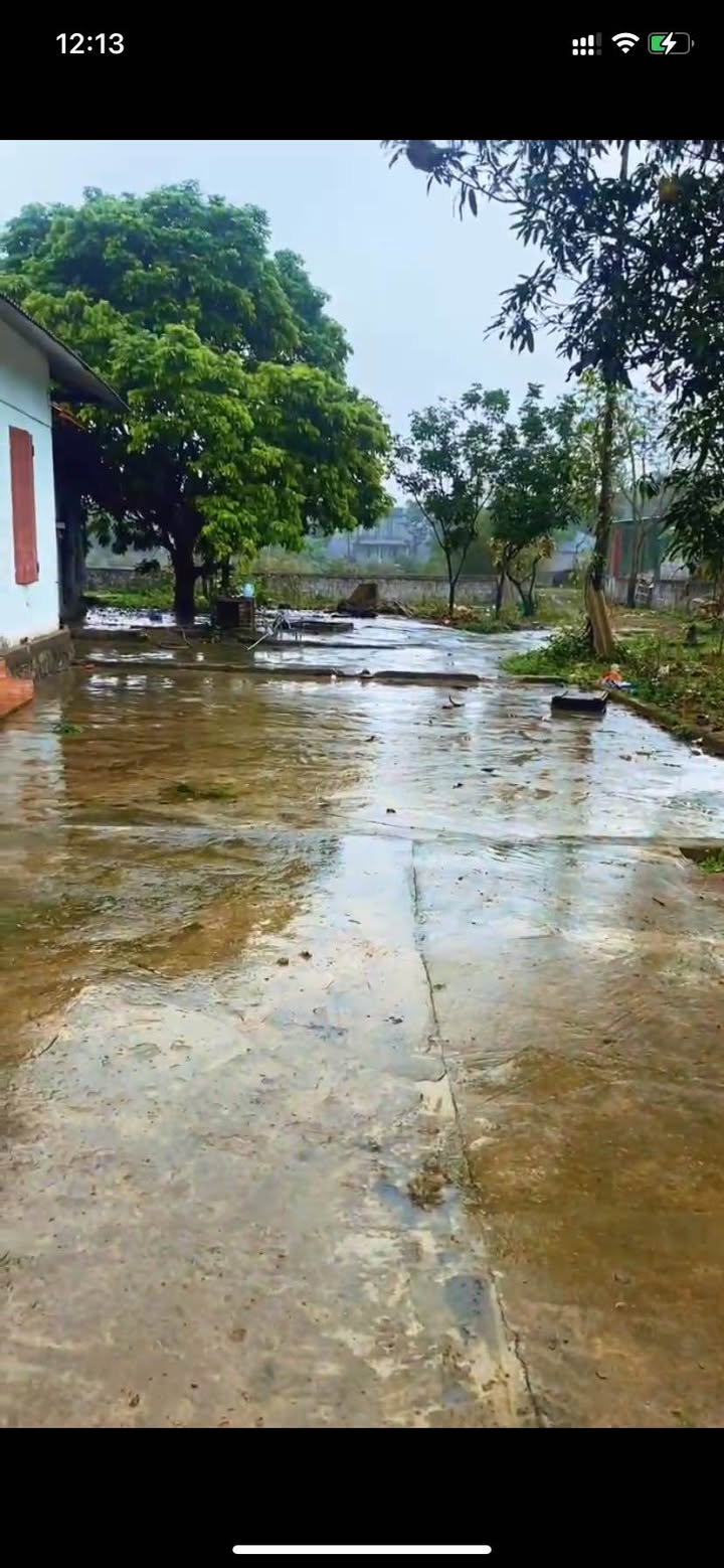 Đất Vườn Ninh Bình 3000m² Gần Khu Nghỉ Dưỡng Vedana - Đầu Tư Hấp Dẫn