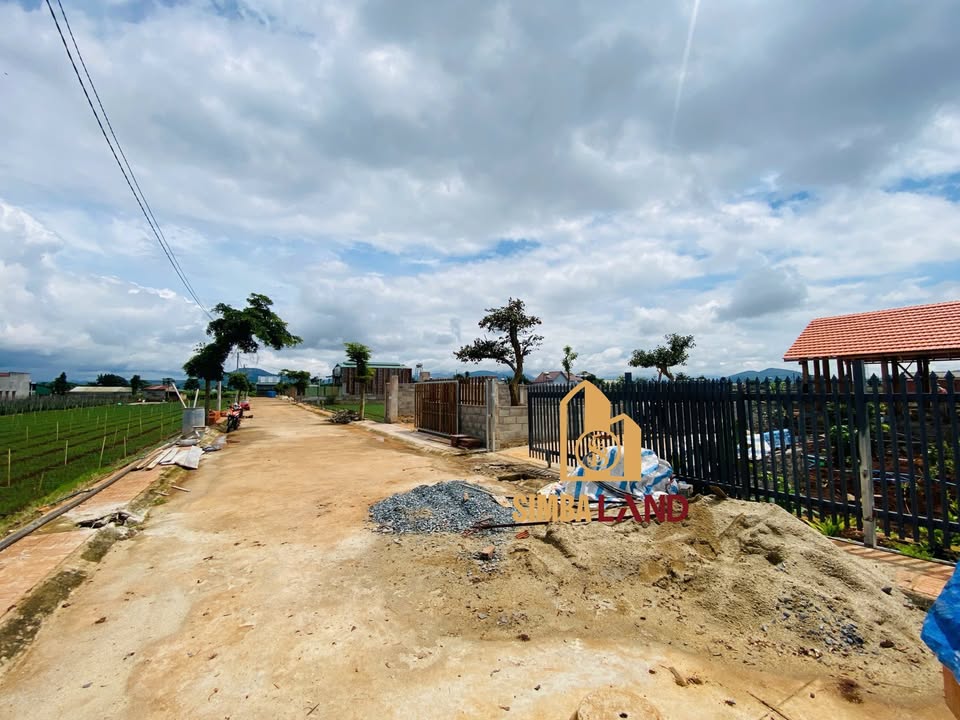 Đất nền Đức Trọng 120m² - Đất thổ cư 100%, đường ô tô né nhau!