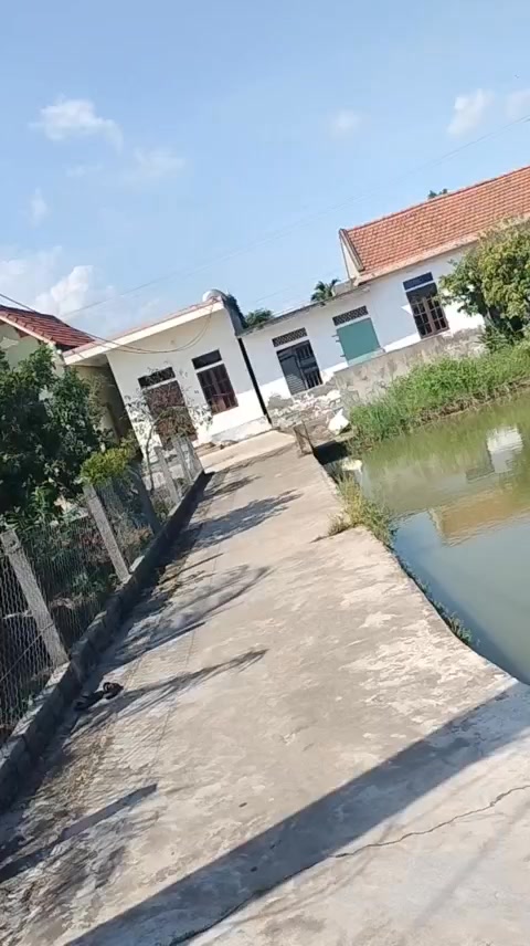 Đất Hải Đông Hải Hậu 260m² - Sổ đỏ chính chủ, tặng nhà cấp 4