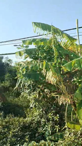 Đất nền Hải Quang, Hải Hậu 490m² - Cơ hội đầu tư sinh lời vượt trội!