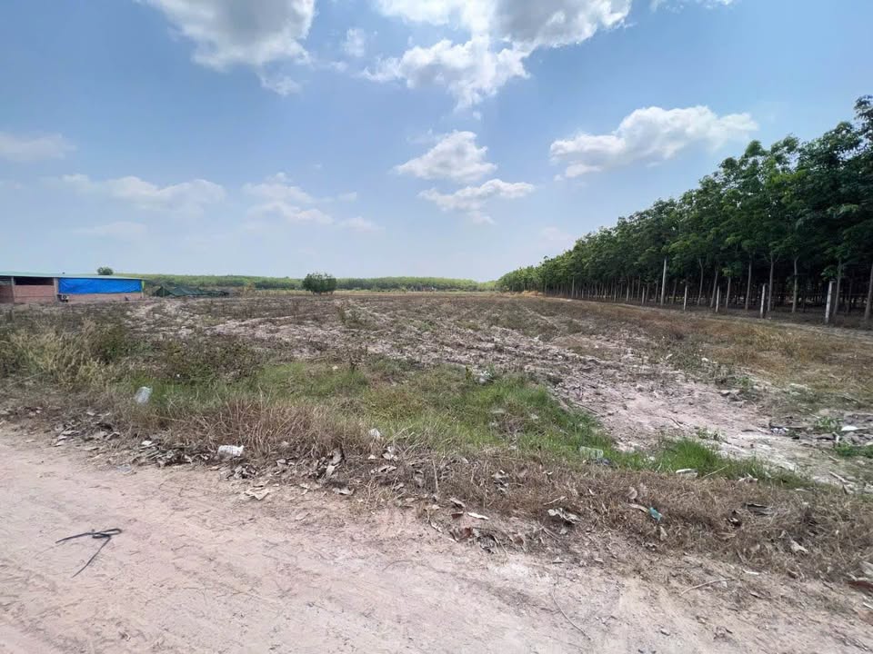 Đất nền An Cơ Châu Thành 1000m² giá 179 triệu - Tiềm năng tăng giá!