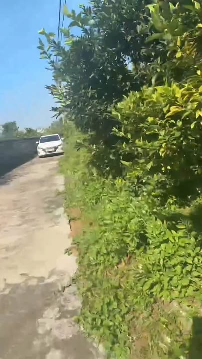 Đất Vườn 1632m² 3 Mặt Tiền - TDP Đồng Giao, Bắc Ninh - Giá Hơn 1 Tỷ