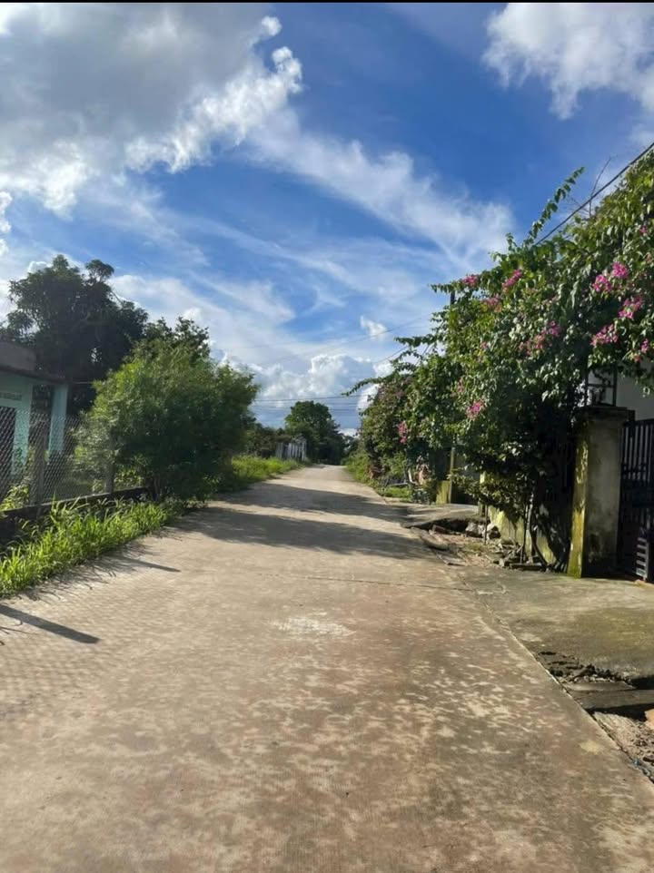 Đất Mặt Tiền Nguyễn Khắc Viện, Kon Tum - 250m² Thổ Cư, Giá 4xx Triệu