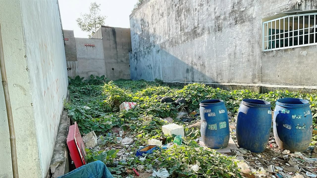 Đất nền Đường Lò Lu Quận 9 139m² - Tiềm năng tăng giá vượt trội!