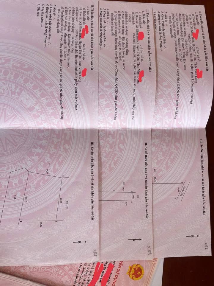 Bán Gấp Đất Vườn Cam 5971m² Vĩnh Long - Thu Nhập Sẵn Sàng