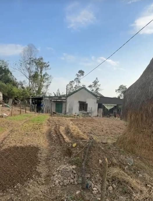 Đất Vườn Nghệ An: 118m² Sổ Đỏ, Gần UBND Xã Nghi Hưng - Giá 1.4 Tỷ