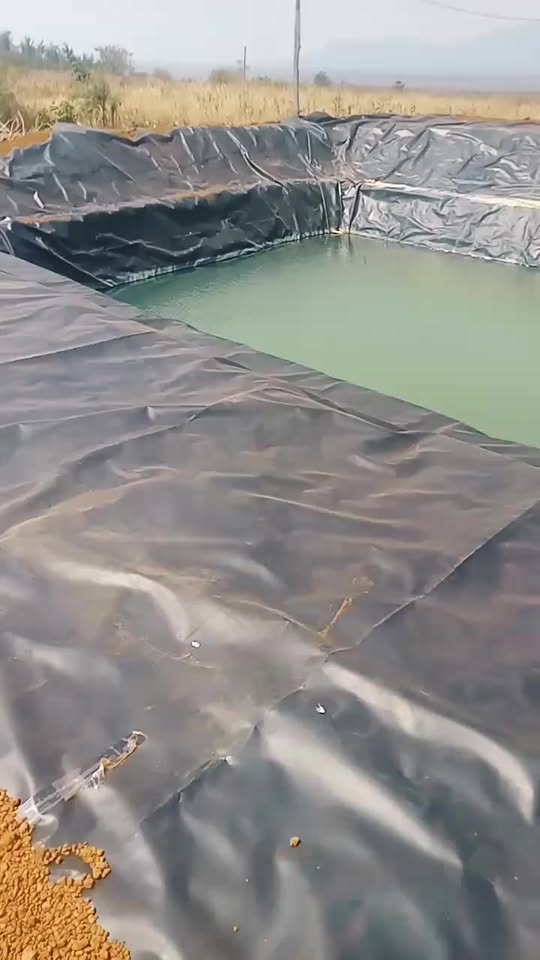 Trang trại Ia Blứ Gia Lai 5 hecta giá 5 tỷ - Đầu tư sinh lời ngay!