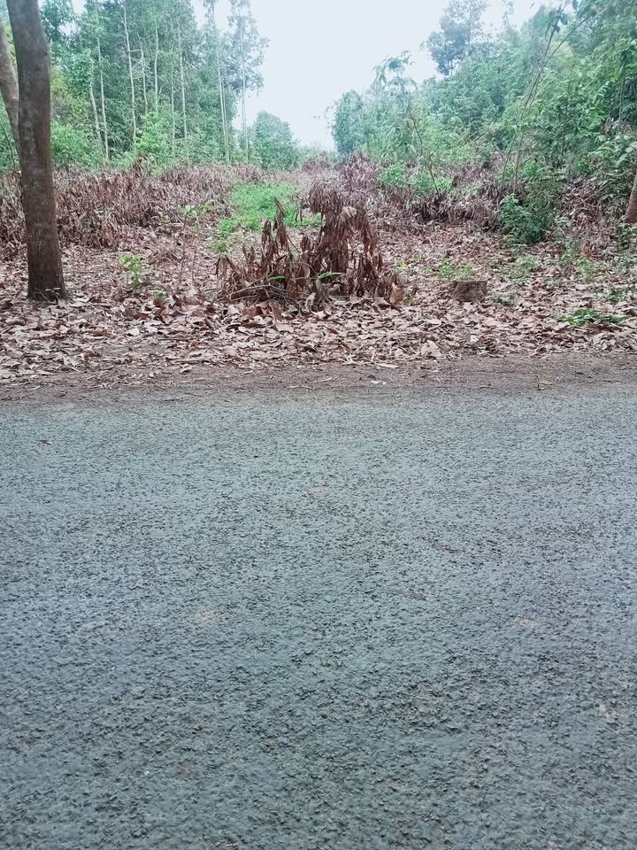 Bán đất mặt tiền Trà Cú 2700m² giá 1.485 tỷ - Hạ tầng hoàn thiện