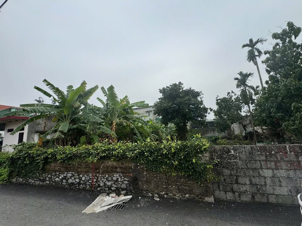 Đất nền 89m² gần DA Tây Phù Vân 2, Hà Nam - Sổ đỏ sẵn sàng giao dịch