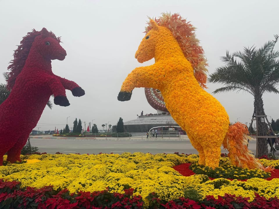 Đất nền Lam Hạ Phủ Lý 85m² 5.1 tỷ - Vị trí đẹp kinh doanh tốt