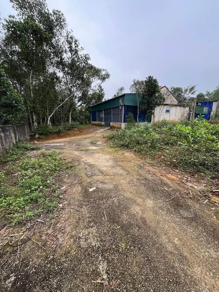 Đất nền Hương Khê 186m² giá 600 triệu - Sổ đỏ chính chủ!