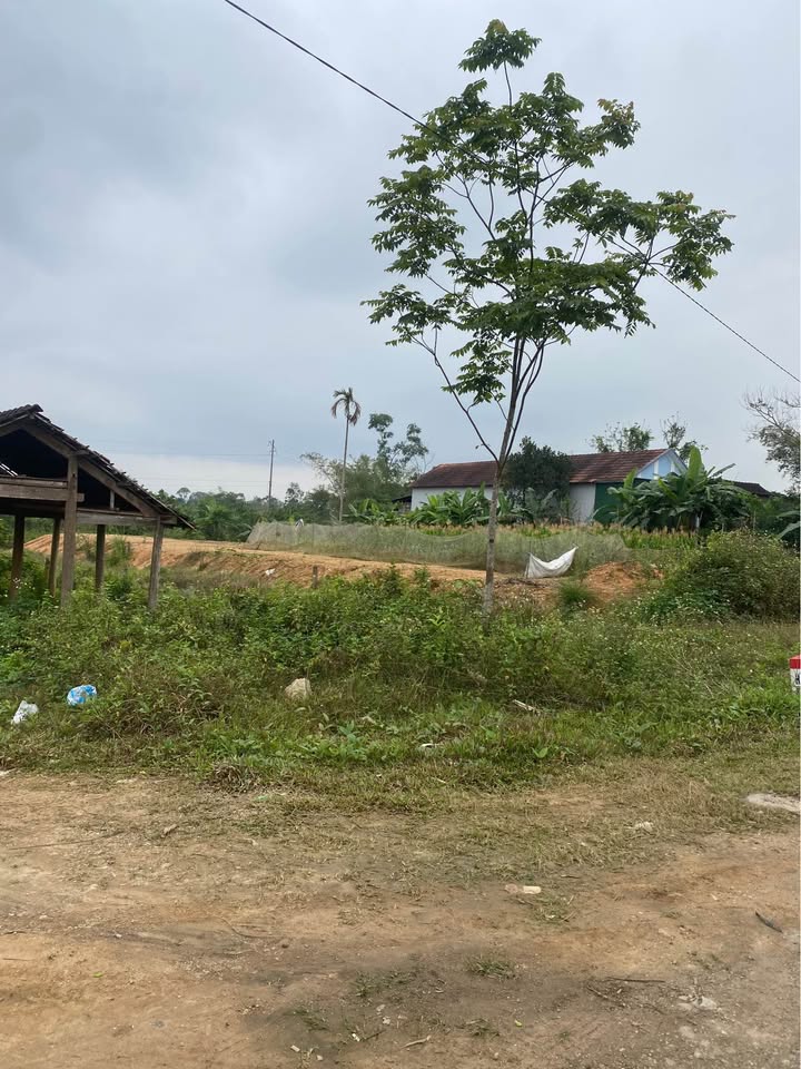 Đất nền Hương Long 250m² thỏa thuận - Sổ đỏ chính chủ