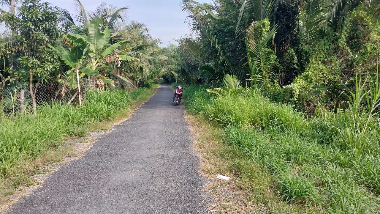 Đất Vườn Trà Vinh 4100m² - Sinh thái xanh, view kênh tuyệt đẹp!