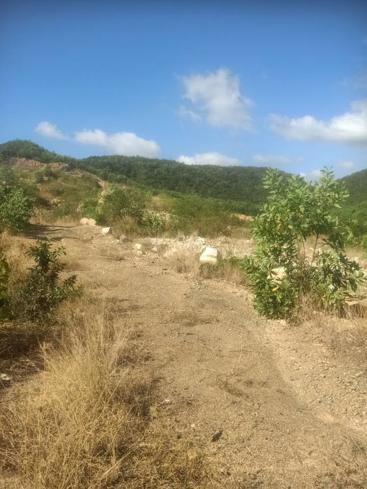 Đất Vườn Vạn Ninh 22ha - Tiềm Năng Đầu Tư Dài Hạn Chỉ 8.8 Tỷ