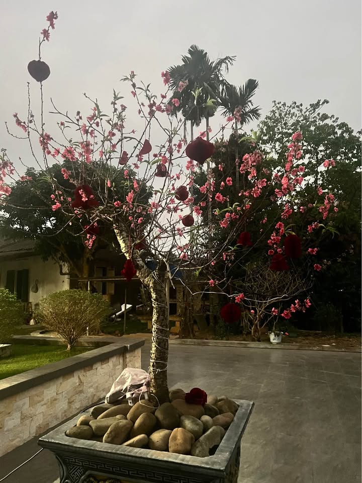 Đất nền Linh Sơn, Thái Nguyên 100m² giá 1 tỷ – Tiềm năng tăng giá!