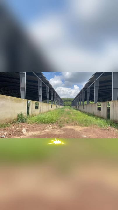 Bán Cụm Xưởng Phú Giáo 31.952m² Giá 60 Tỷ - Diện Tích Lớn Pháp Lý Chuẩn!