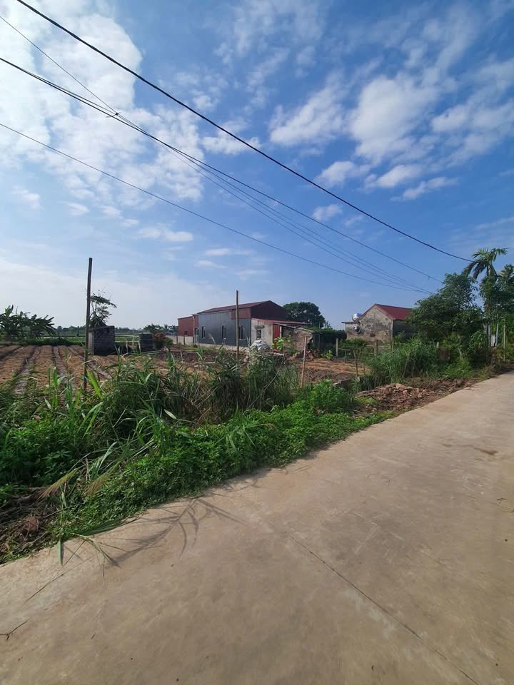 Đất Vàng Xóm 7 Nam Điền - 198m² Thổ Cư, Sổ Đỏ Rõ Ràng, Giá Đầu Tư 1.375 Tỷ