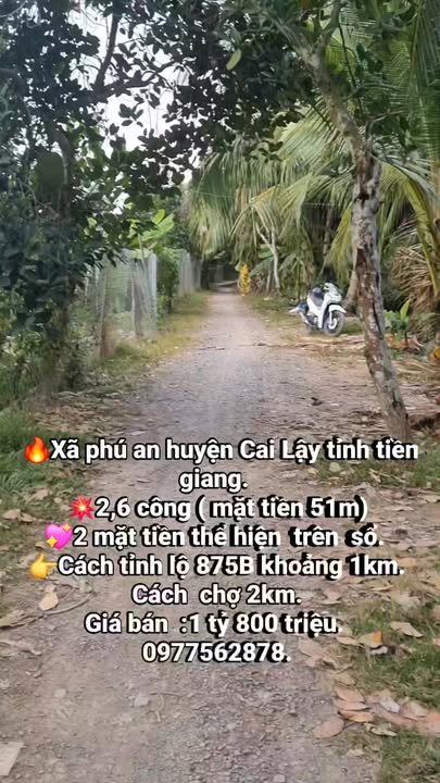 Đất vườn Xã Phú An Cai Lậy 2600m² - Sổ đỏ chính chủ!