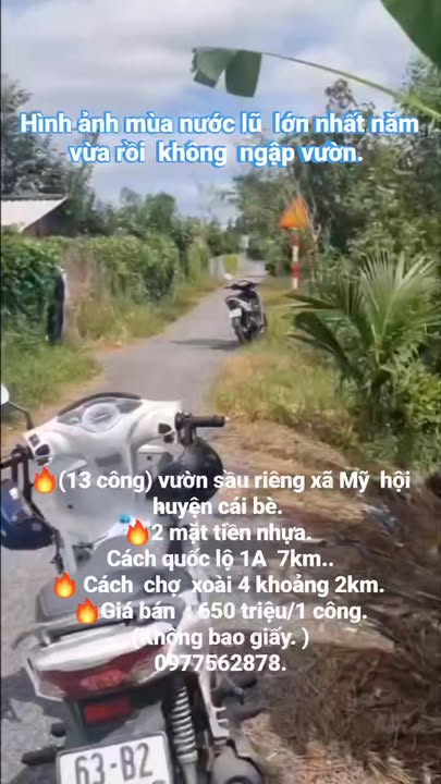 Đất vườn Chợ Gạo Tiền Giang 13.000m² - Đầu tư sinh lời ngay!