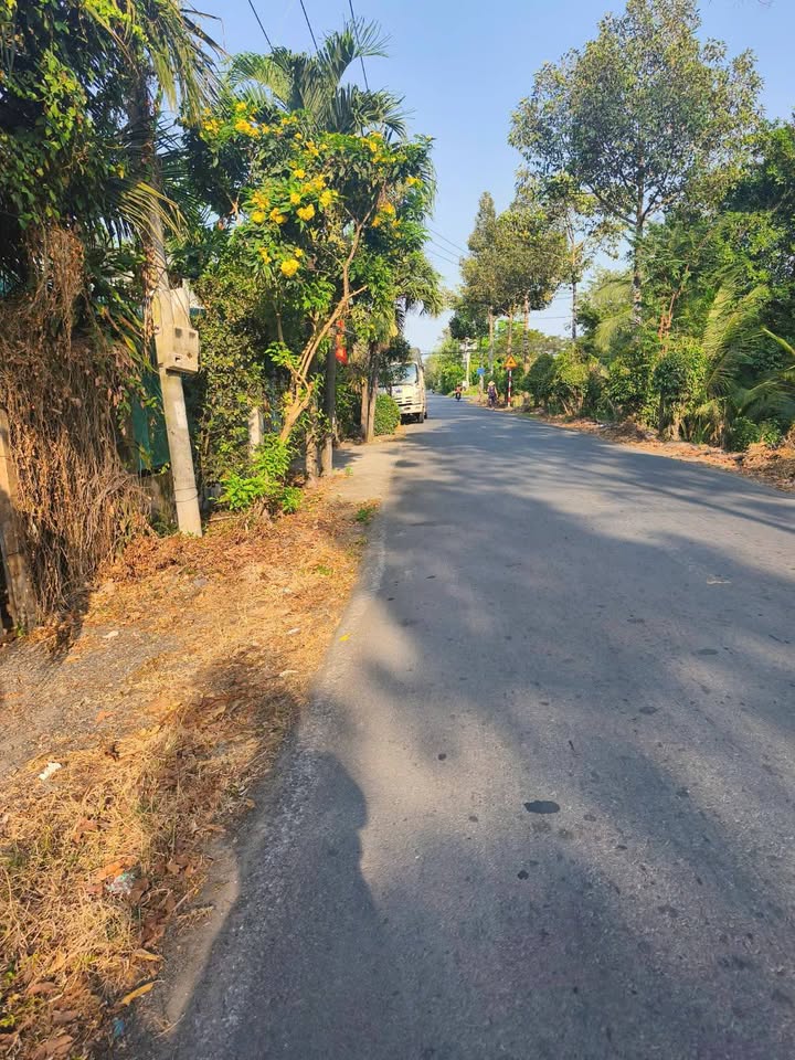 Đất vườn Tân Mỹ Chánh 800m² giá 4 triệu - Tiềm năng kinh doanh!