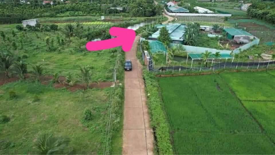 Trang trại 1665m² Hậu Giang – Sinh thái xanh, đầu tư bền vững!