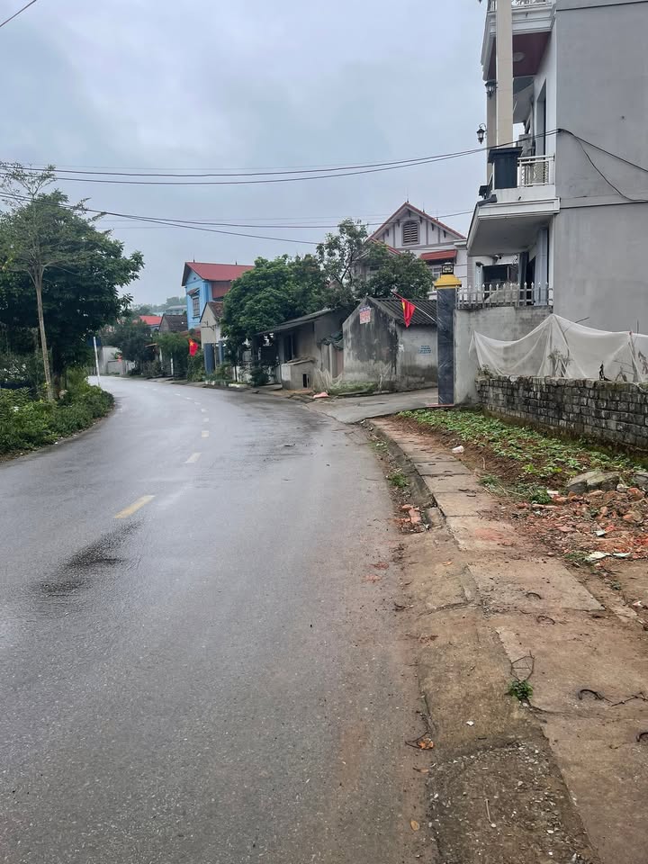 Đất nền Yên Dũng, Bắc Giang 203m² - Mặt đường nhựa, tiềm năng sinh lời