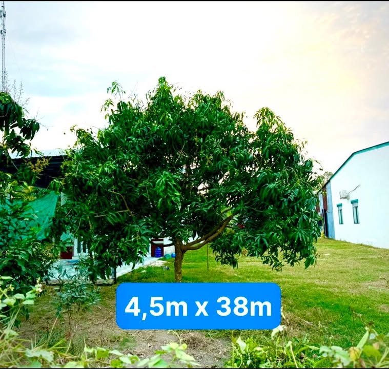 Đất nền Gò Da Tân Hồng 171m² - Sổ đỏ chính chủ!