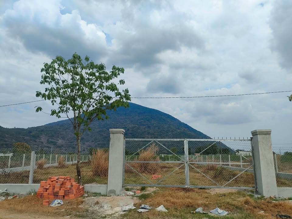 Đất nền Ninh Sơn, Tây Ninh 1400m² sổ sẵn, view Núi Bà Đen