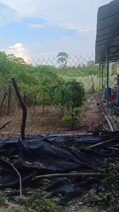 Đất Nền Sổ Hồng 1044m² Tân Châu, Tây Ninh - Giá Đầu Tư 280 Triệu