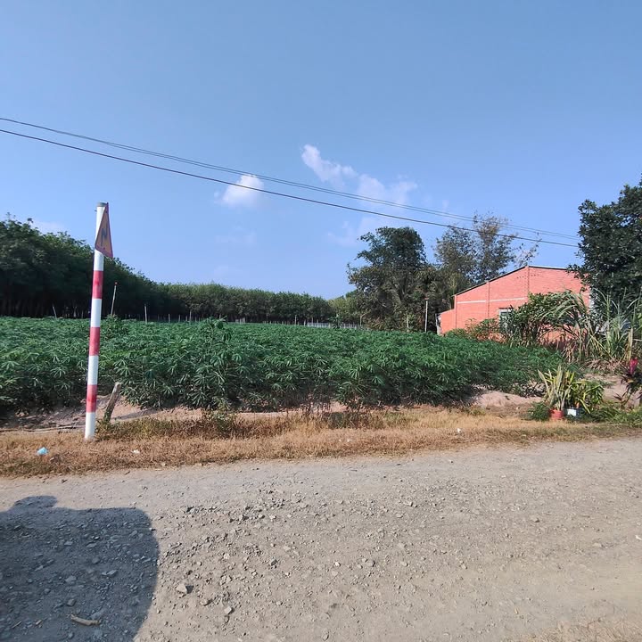 Đất Lỗ 410m² Hảo Đước, Tây Ninh - Sổ Thổ Cư Sẵn Sàng Giao Dịch