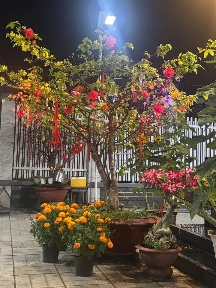 Đất Nền 60m² Đường Nguyễn Văn Linh, Hòa Thành - Giá 650 Triệu Chính Chủ