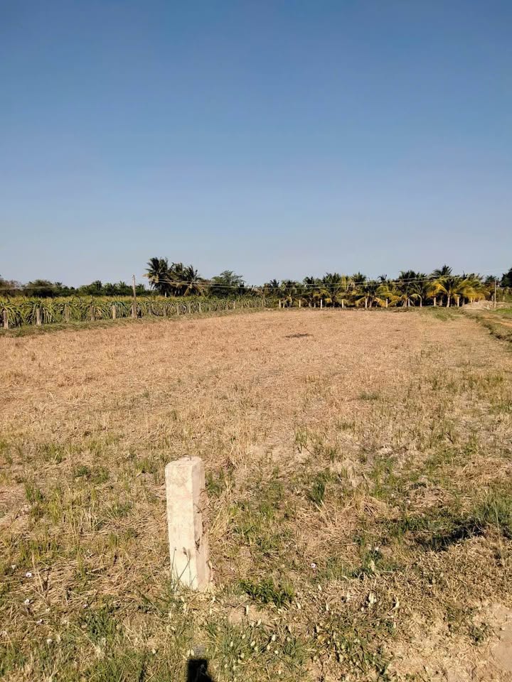 Đất nền Hàm Chính 967m² giá 500 triệu - Tiềm năng tăng giá vượt trội!