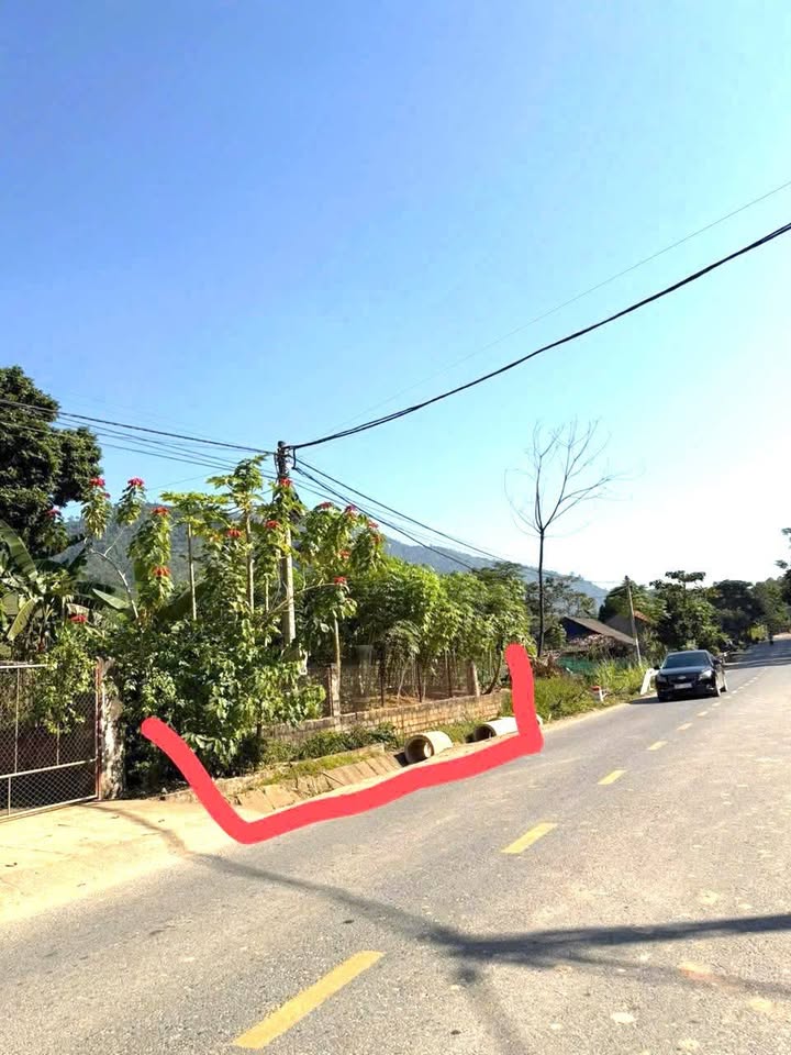 Đất nền QL32, Tân Sơn, Phú Thọ 125m² - Sổ đỏ chính chủ