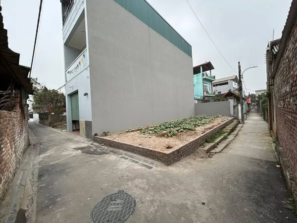 Đất nền Mạnh Tân, Thụy Lâm 64.4m² - Tiềm năng tăng giá vượt trội!